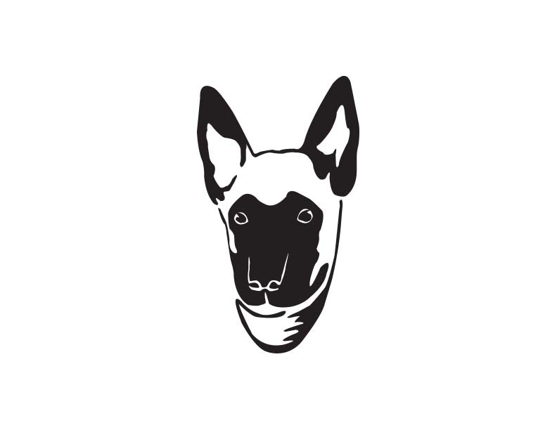 Belgain Malinois puppy decal