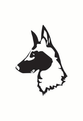 Belgian Malinois decal